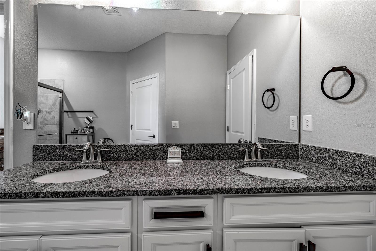 17108 SE 111TH TERRACE RD, SUMMERFIELD, FL, 34491