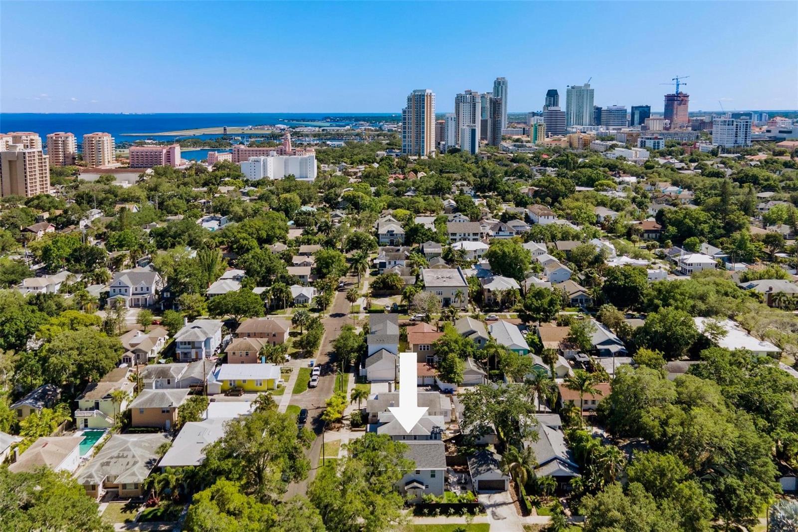 1150 OAK ST NE, ST PETERSBURG, FL, 33701