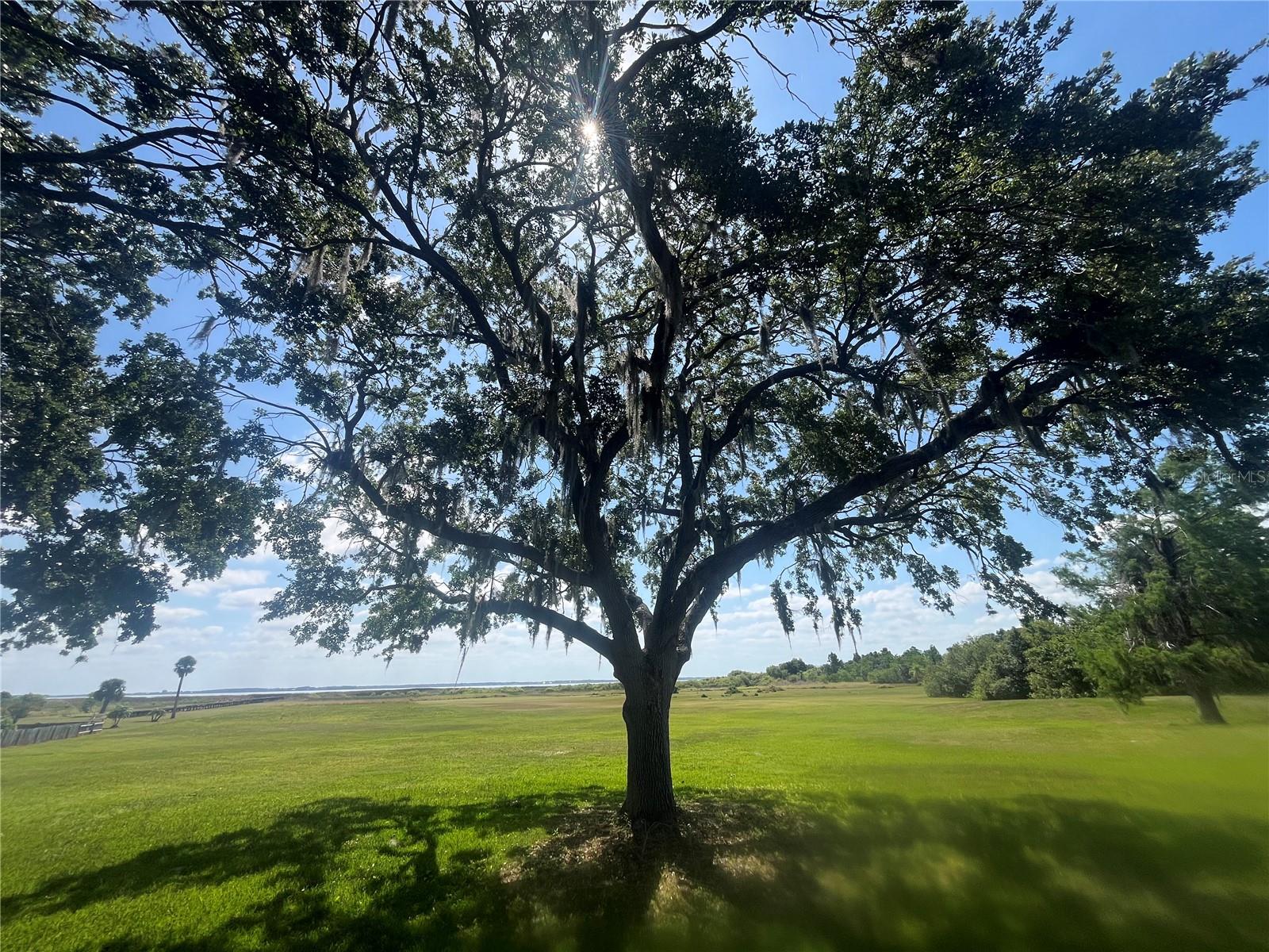 2825 LAKE TOHOPEKALIGA BLVD, KISSIMMEE, FL, 34746