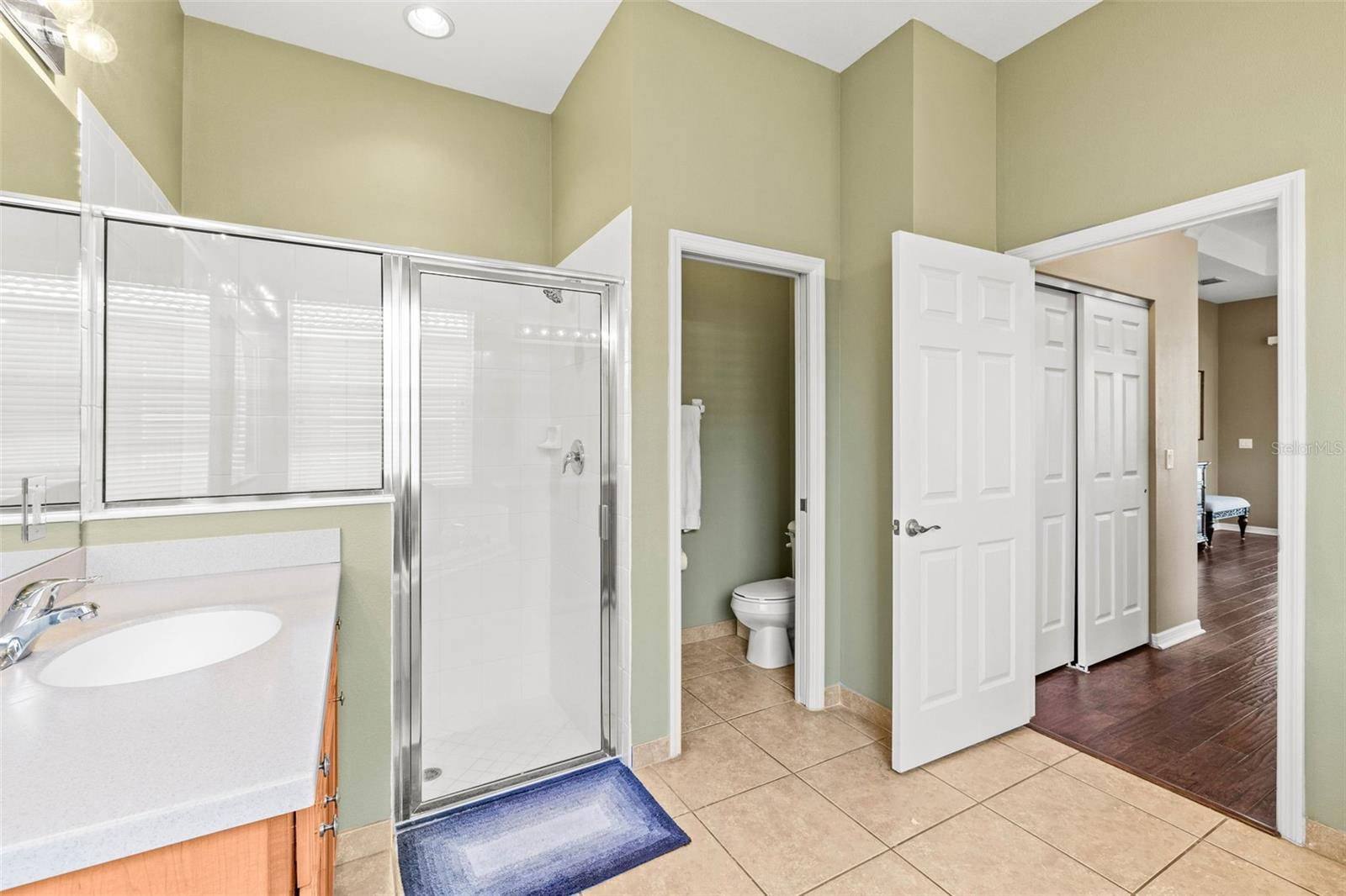 16023 GOLDEN LAKES DR, WIMAUMA, FL, 33598