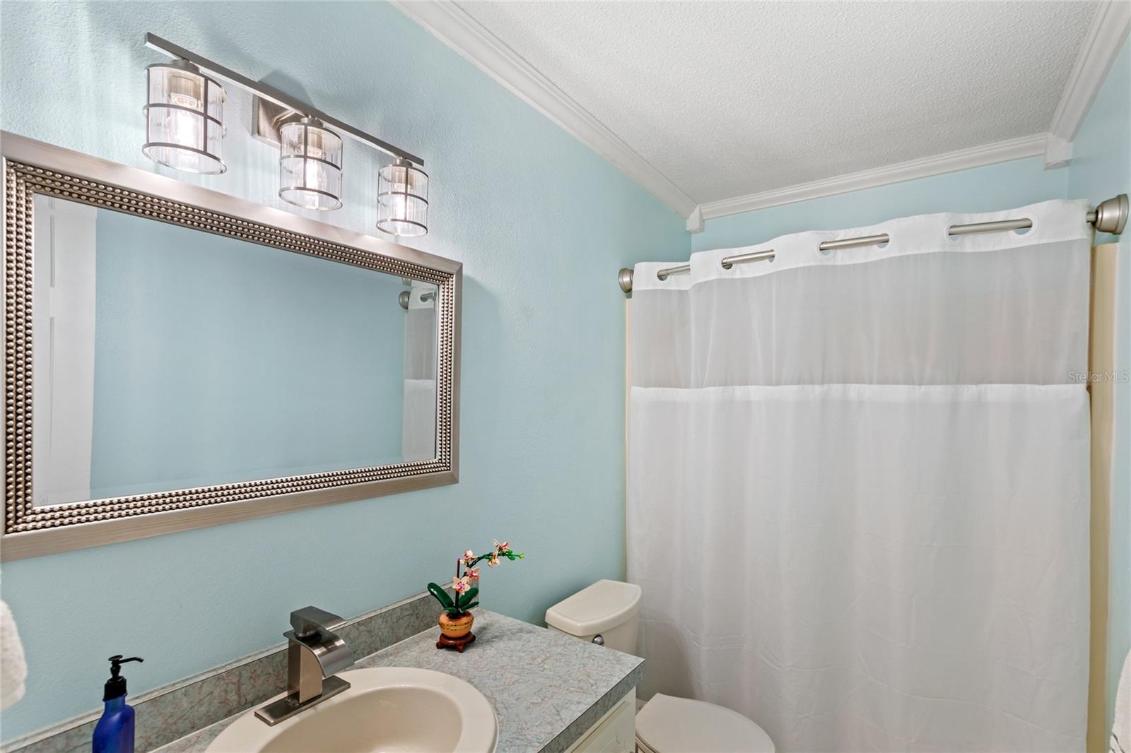 11595 SW 134 CT, DUNNELLON, FL, 34432
