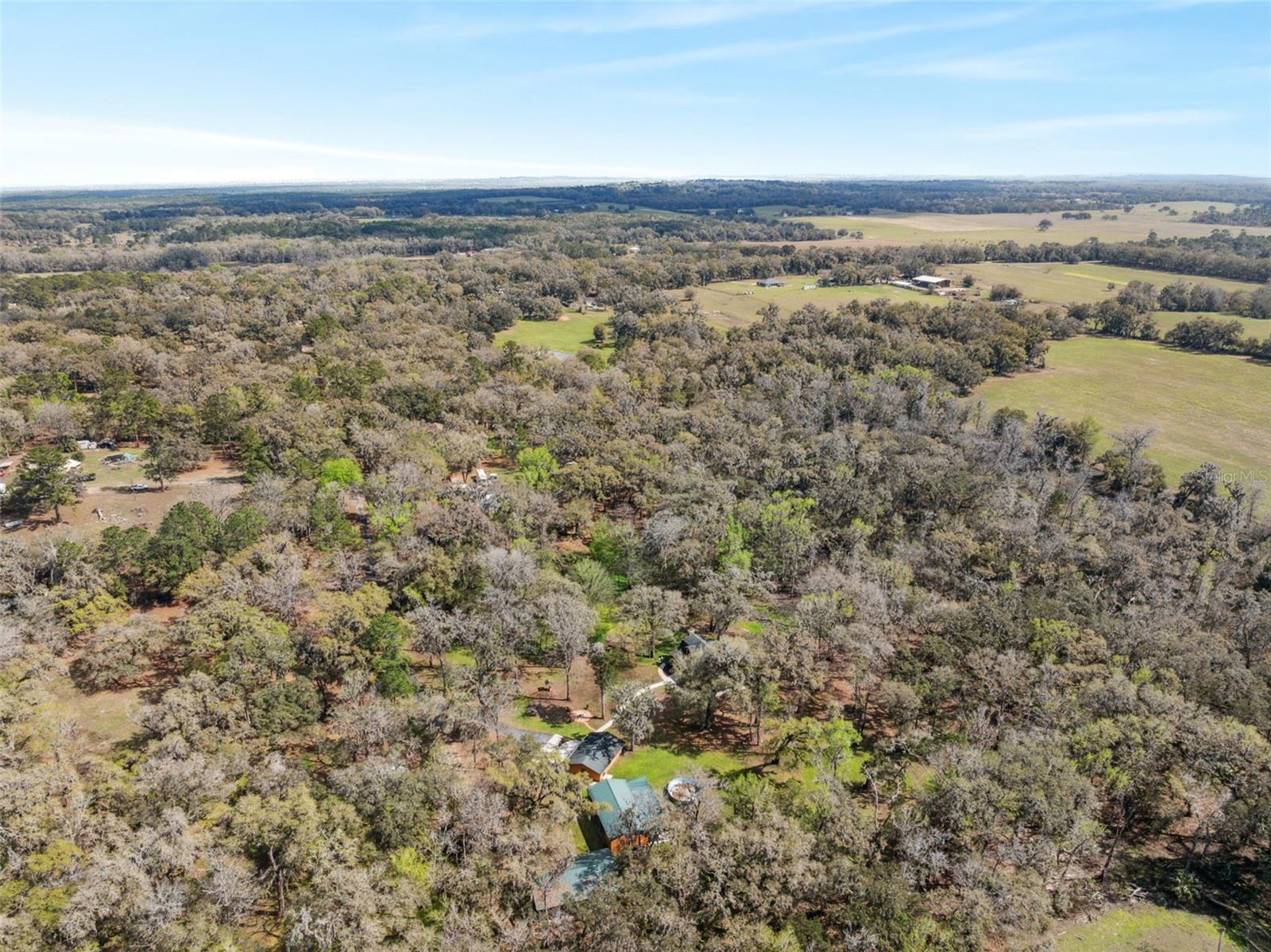 2980 E VERNON CT, FLORAL CITY, FL, 34436