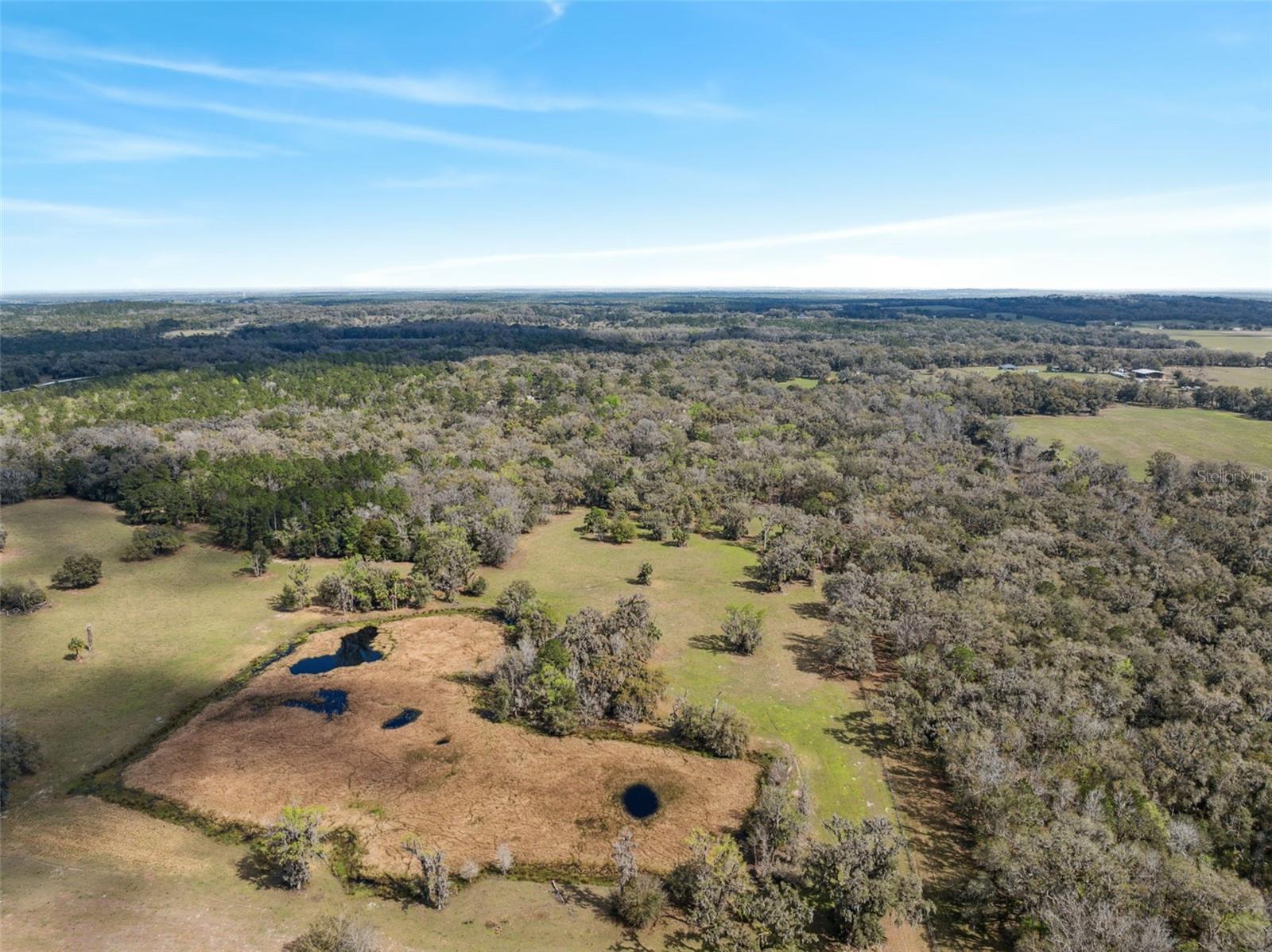 2980 E VERNON CT, FLORAL CITY, FL, 34436