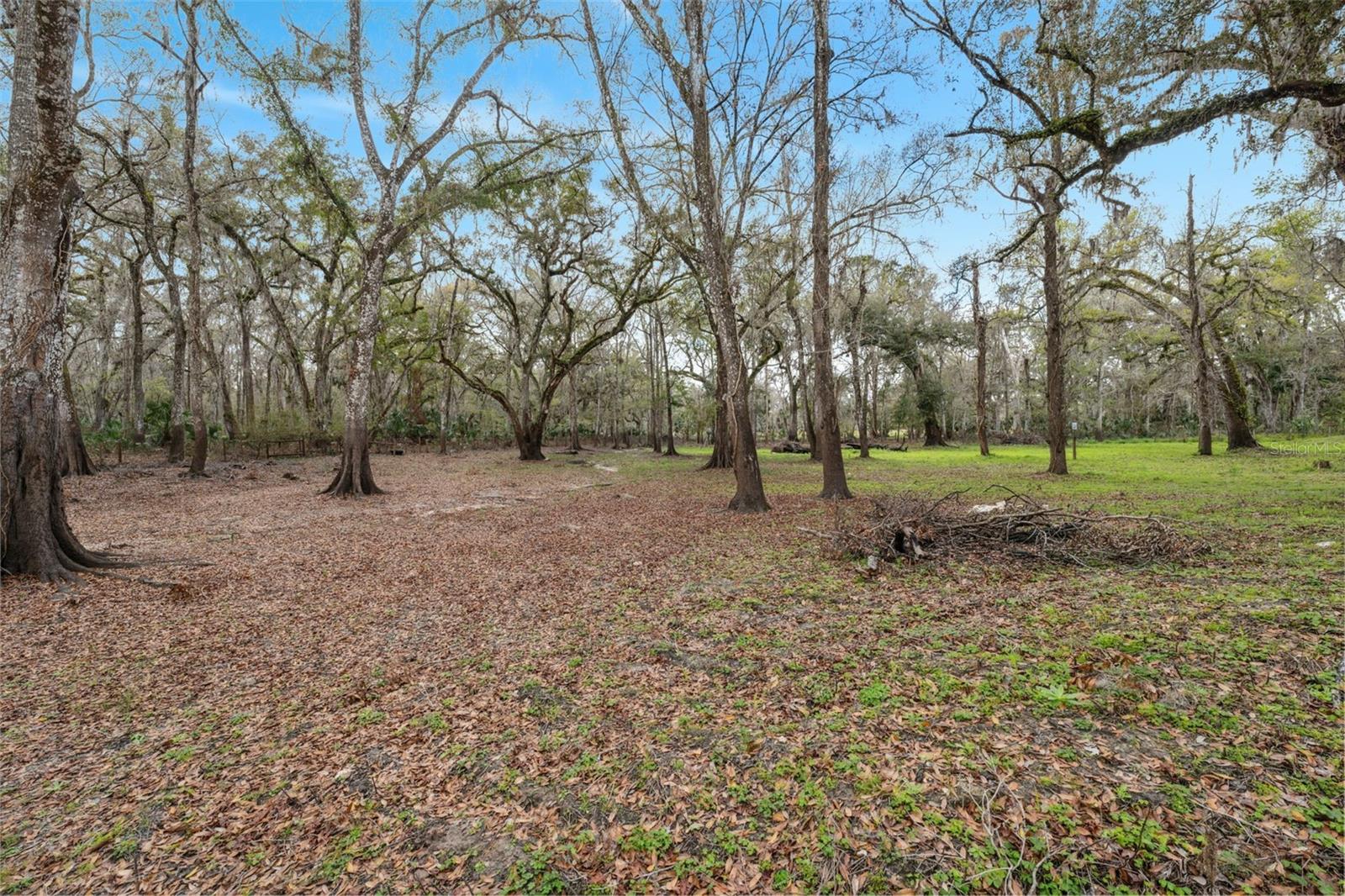 2980 E VERNON CT, FLORAL CITY, FL, 34436