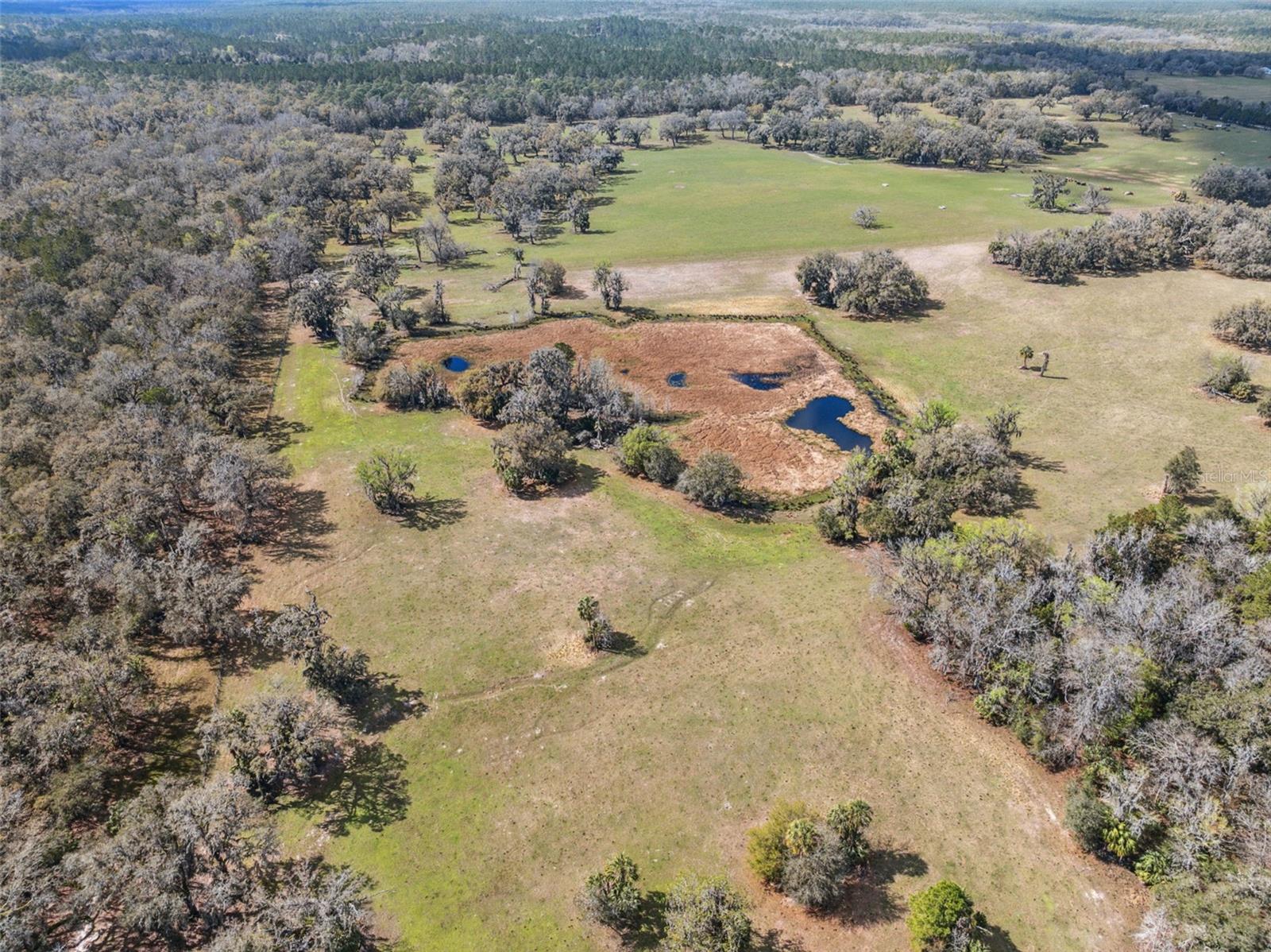 2980 E VERNON CT, FLORAL CITY, FL, 34436