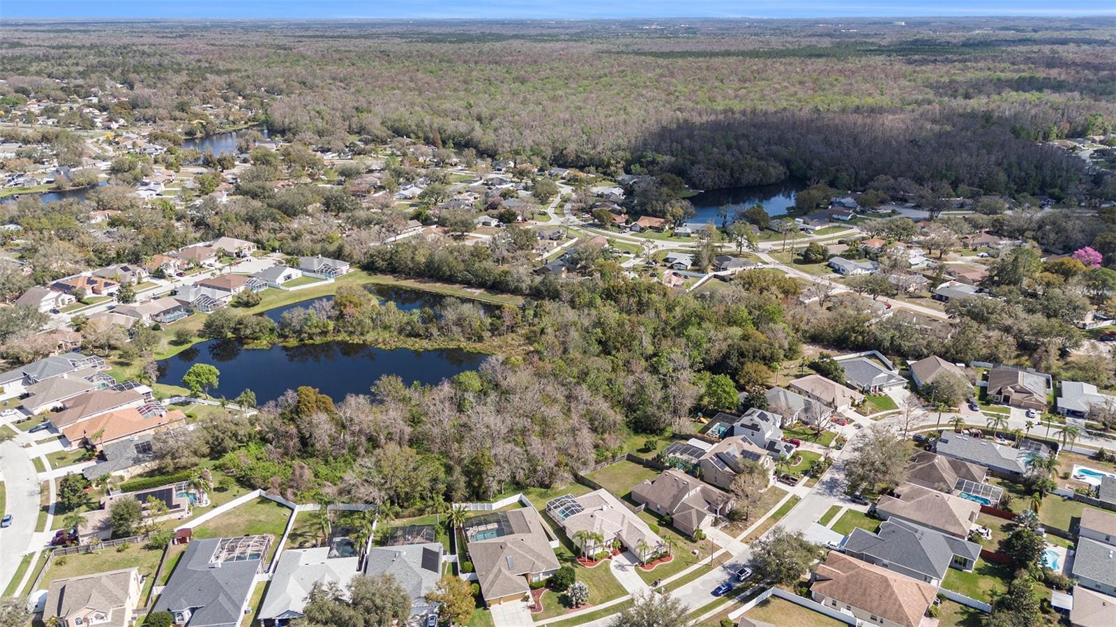 4215 WHITTNER DR, LAND O LAKES, FL, 34639