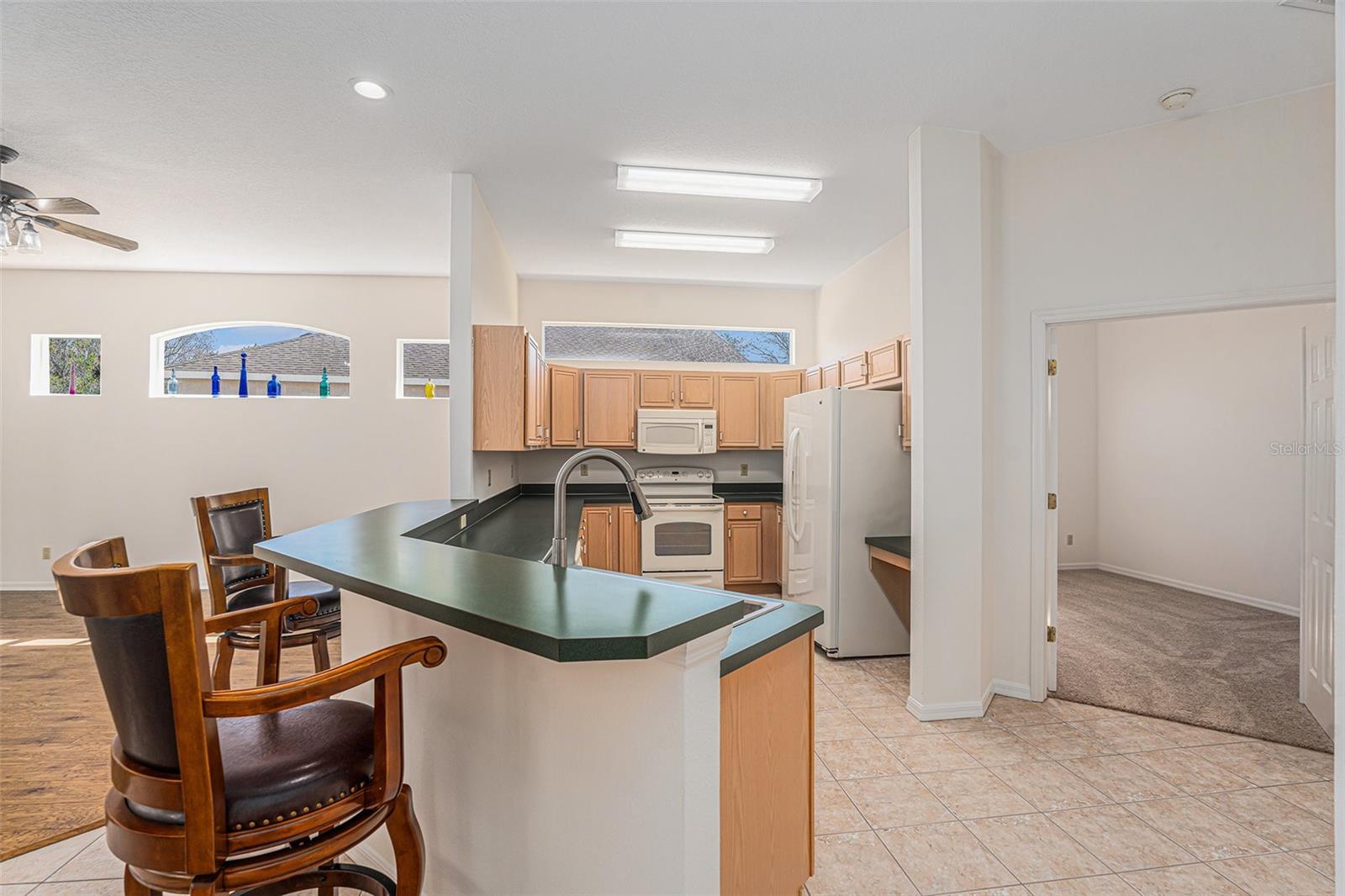 4215 WHITTNER DR, LAND O LAKES, FL, 34639