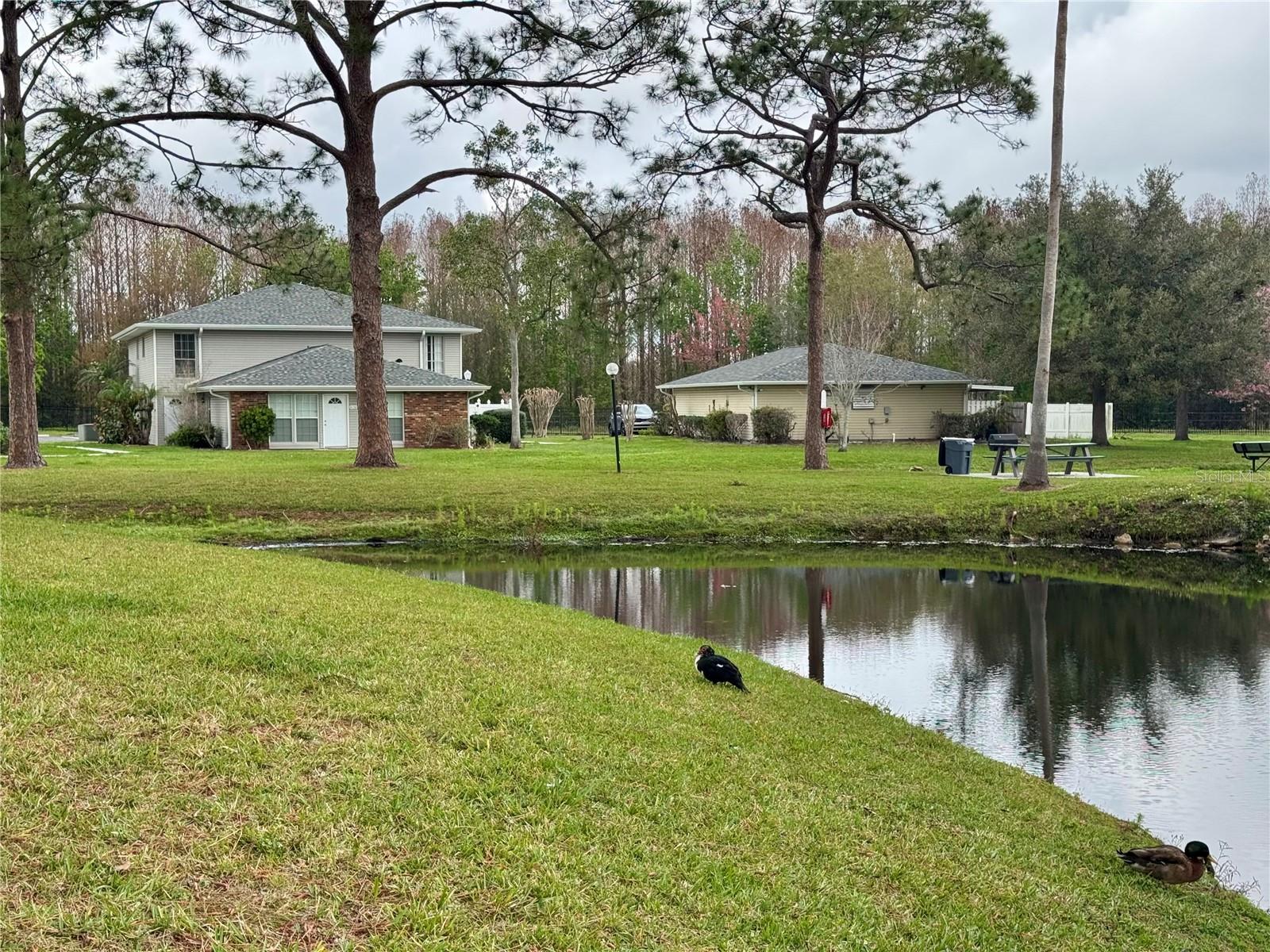 4154 PINEBARK AVE #3, ORLANDO, FL, 32811