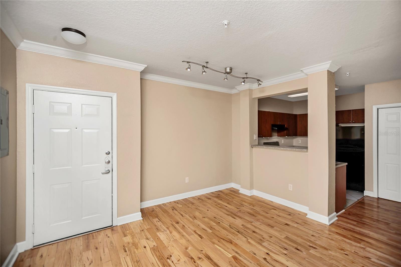 206 E SOUTH ST #4031, ORLANDO, FL, 32801