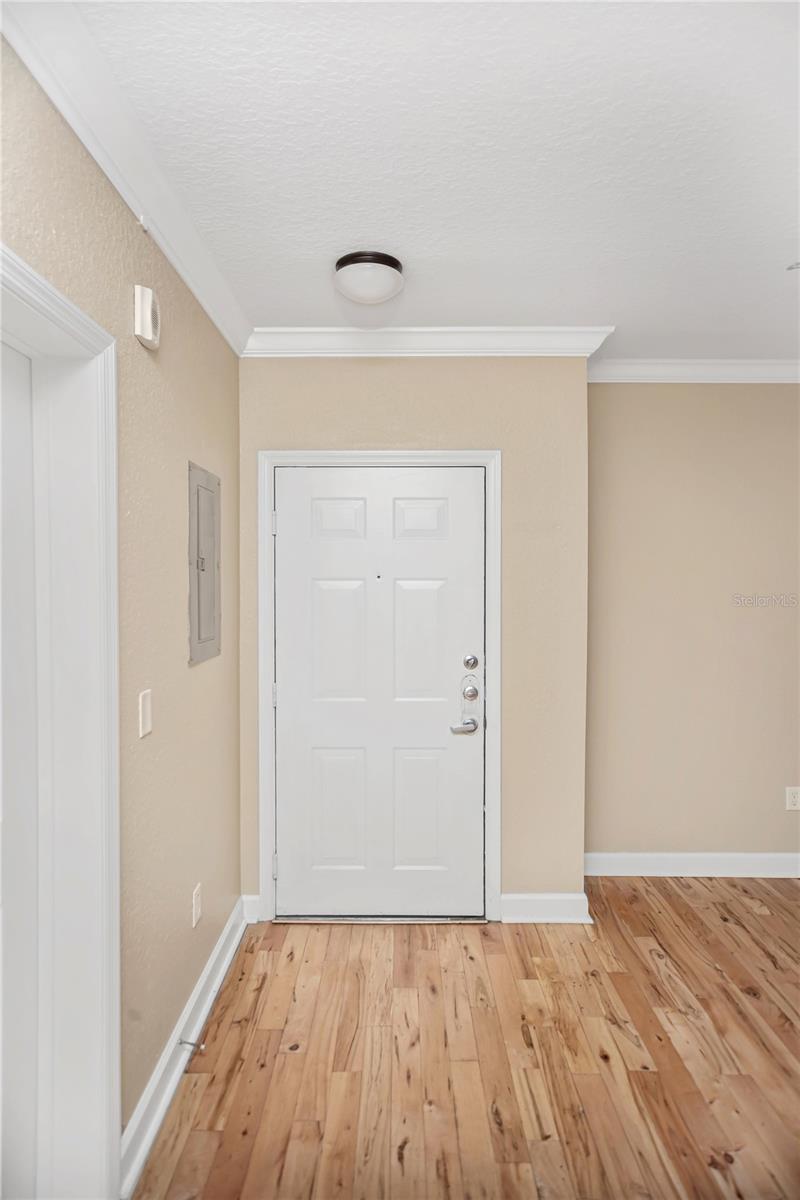 206 E SOUTH ST #4031, ORLANDO, FL, 32801