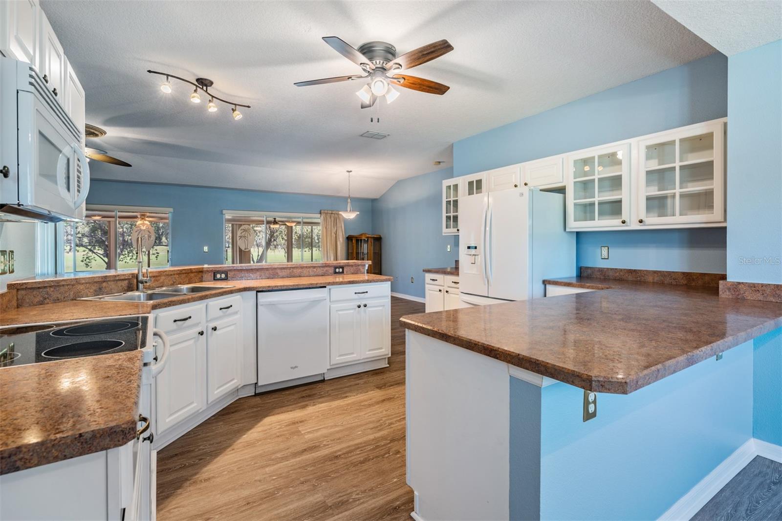 10237 COLLAR DR, SAN ANTONIO, FL, 33576