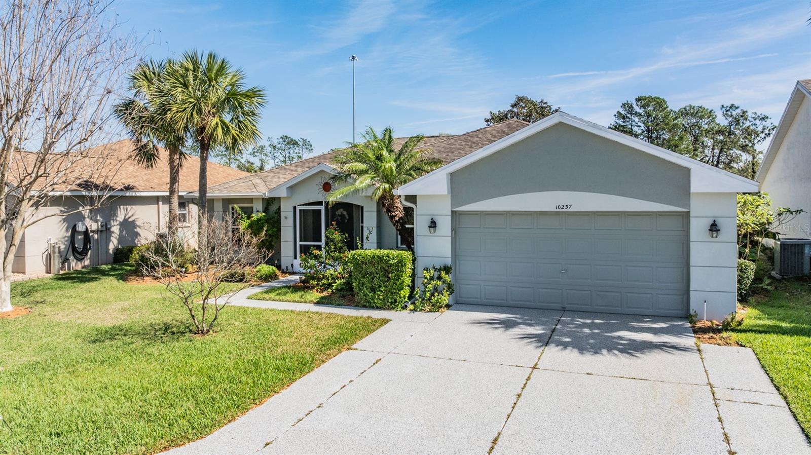 10237 COLLAR DR, SAN ANTONIO, FL, 33576
