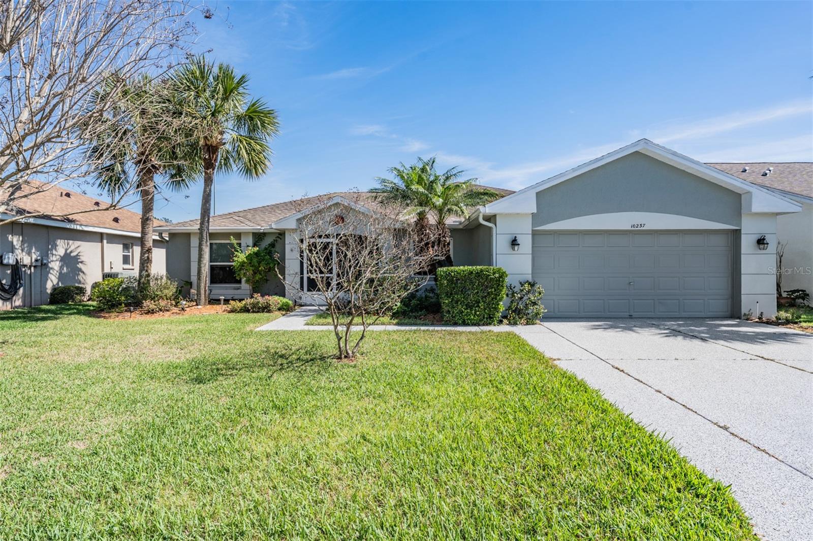 10237 COLLAR DR, SAN ANTONIO, FL, 33576