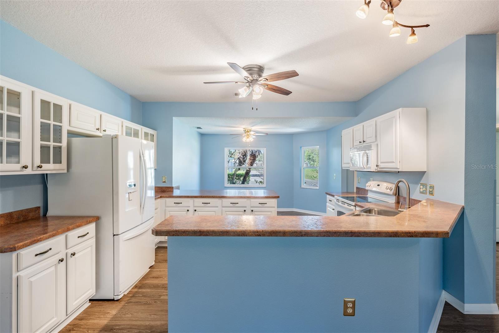10237 COLLAR DR, SAN ANTONIO, FL, 33576