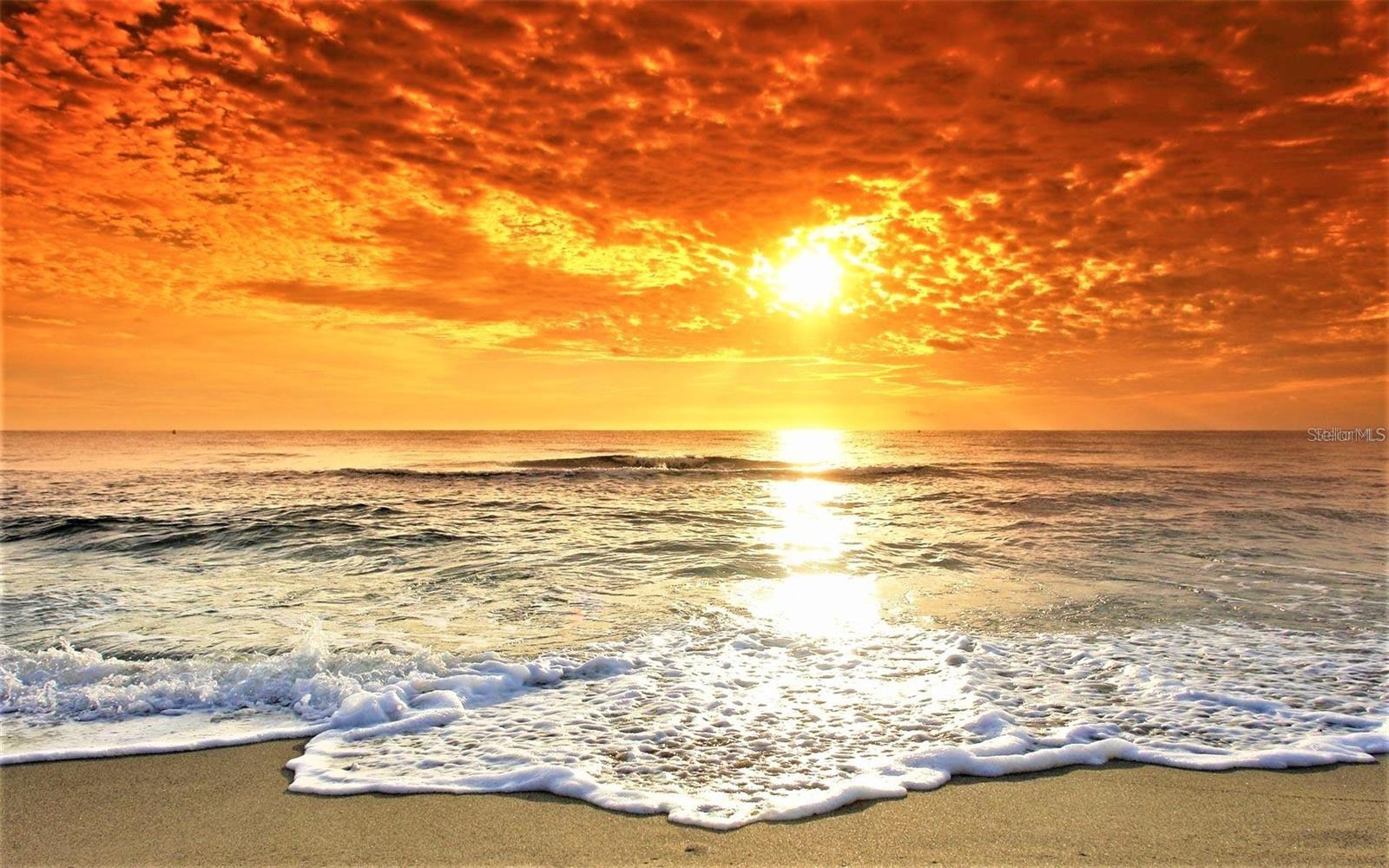 1504 VALLEY FORGE BLVD, SUN CITY CENTER, FL, 33573