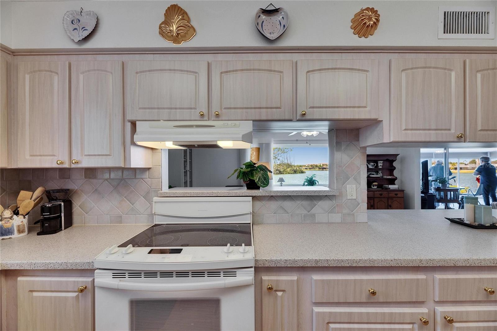 1504 VALLEY FORGE BLVD, SUN CITY CENTER, FL, 33573