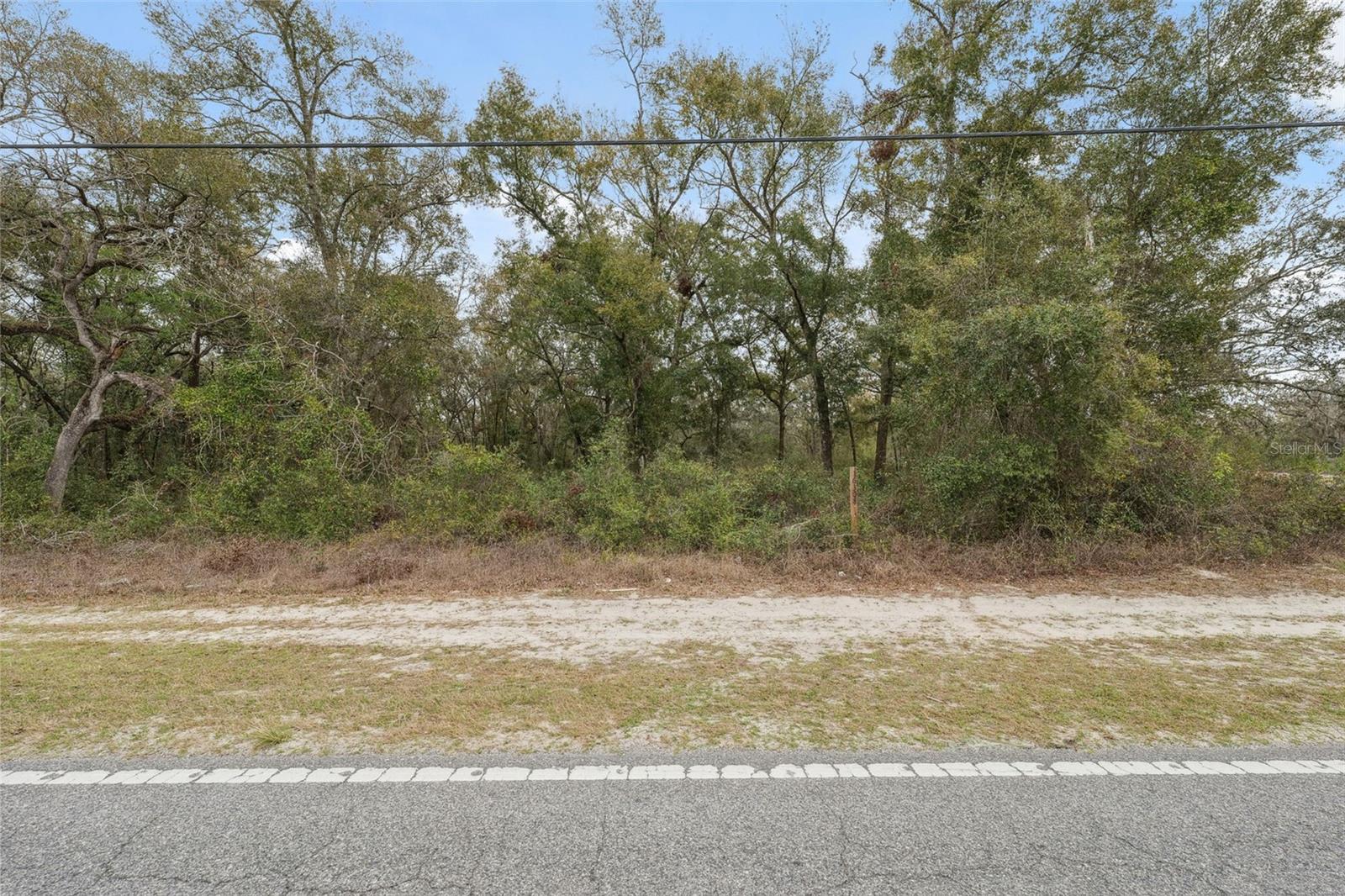 16308 SHADY HILLS RD, SPRING HILL, FL, 34610