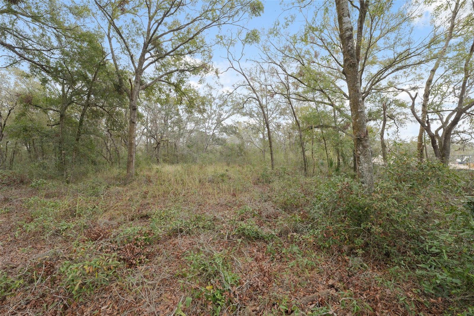 16308 SHADY HILLS RD, SPRING HILL, FL, 34610