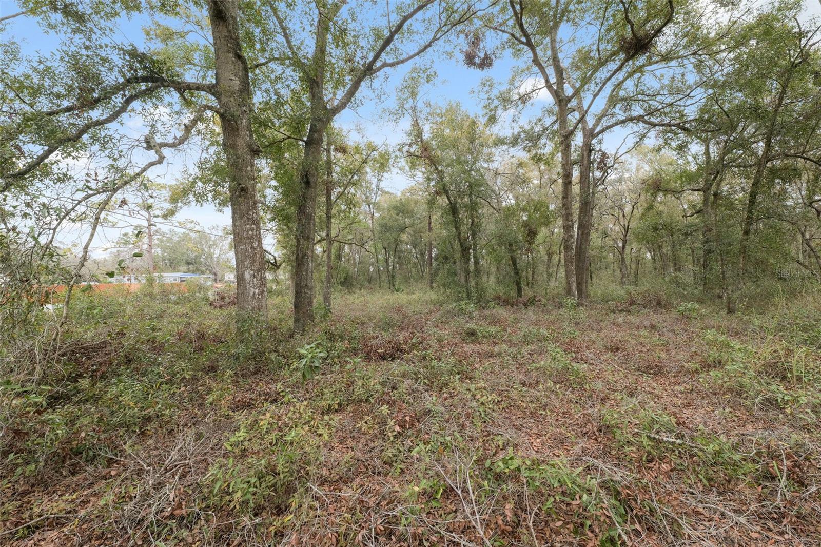 16308 SHADY HILLS RD, SPRING HILL, FL, 34610