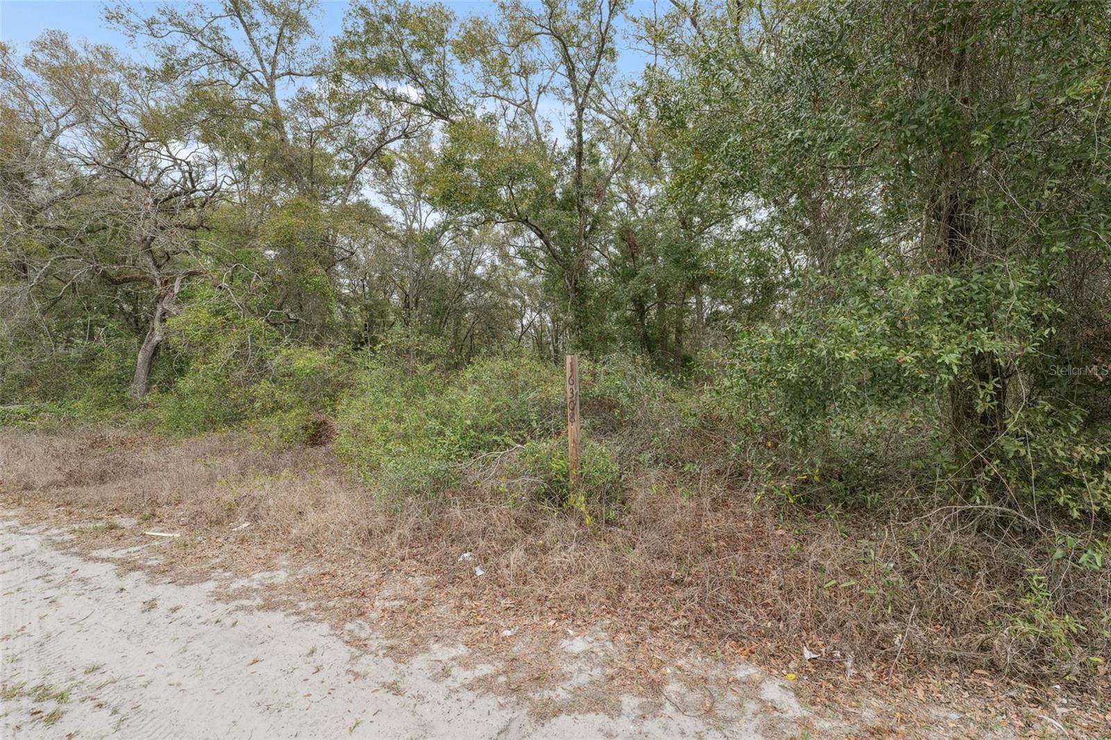 16308 SHADY HILLS RD, SPRING HILL, FL, 34610