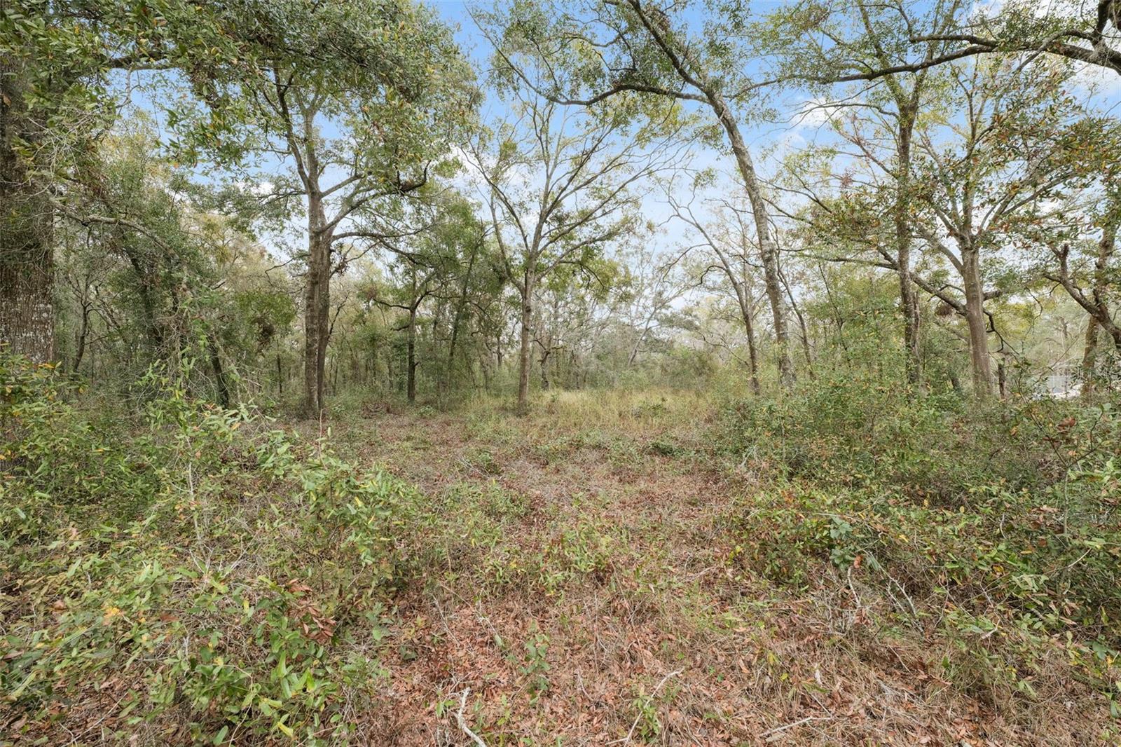 16308 SHADY HILLS RD, SPRING HILL, FL, 34610