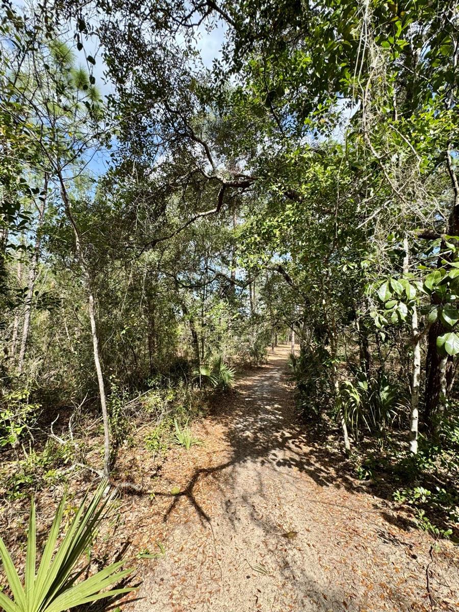 14630 NE 205TH ST, FORT MC COY, FL, 32134