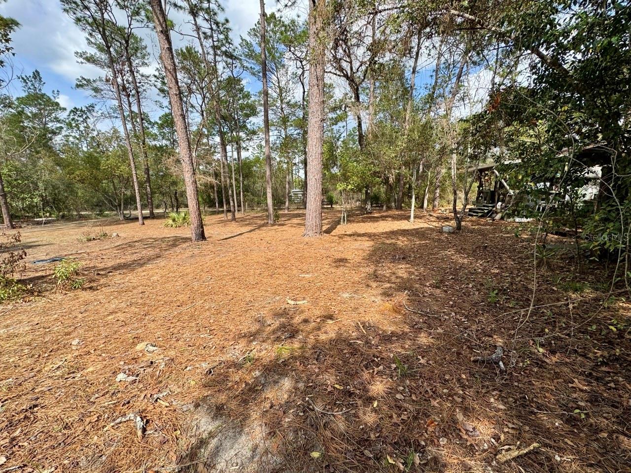 14630 NE 205TH ST, FORT MC COY, FL, 32134