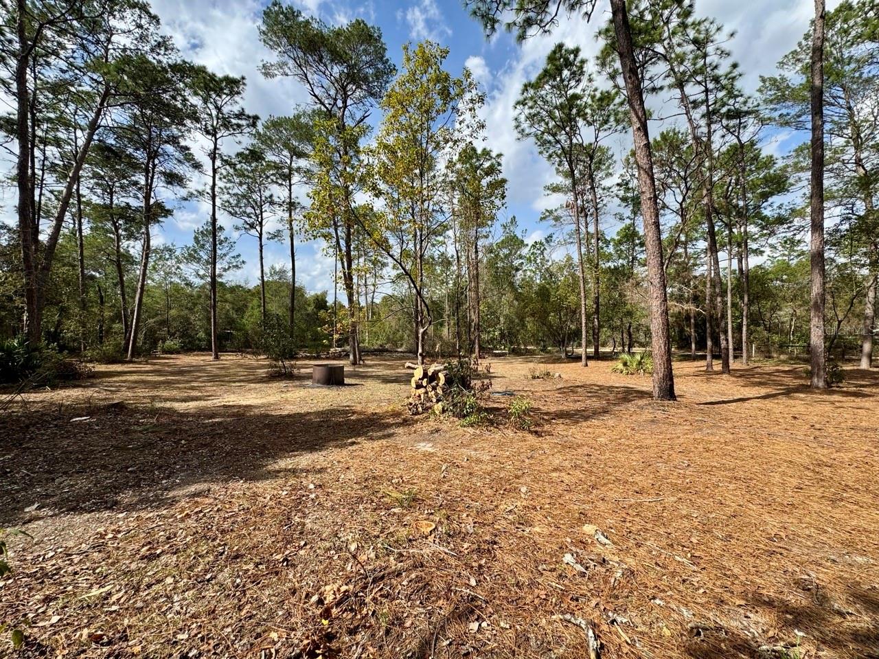 14630 NE 205TH ST, FORT MC COY, FL, 32134