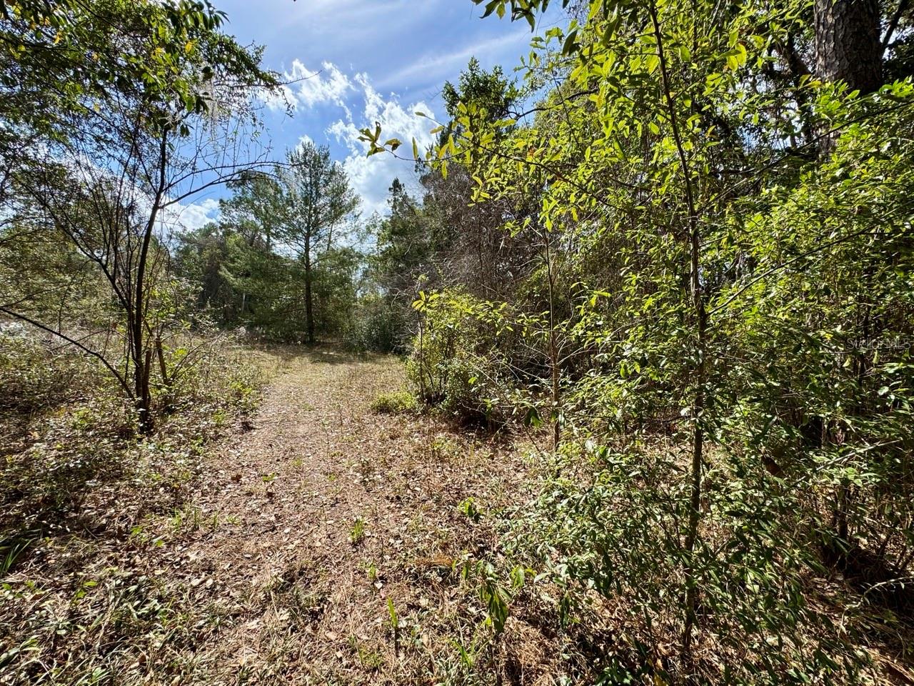 14630 NE 205TH ST, FORT MC COY, FL, 32134