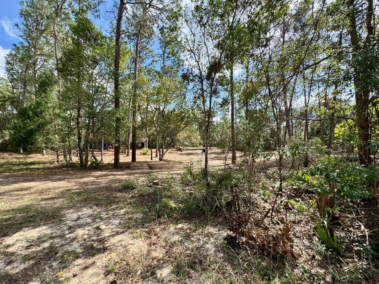 14630 NE 205TH ST, FORT MC COY, FL, 32134