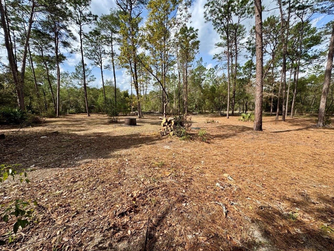 14630 NE 205TH ST, FORT MC COY, FL, 32134