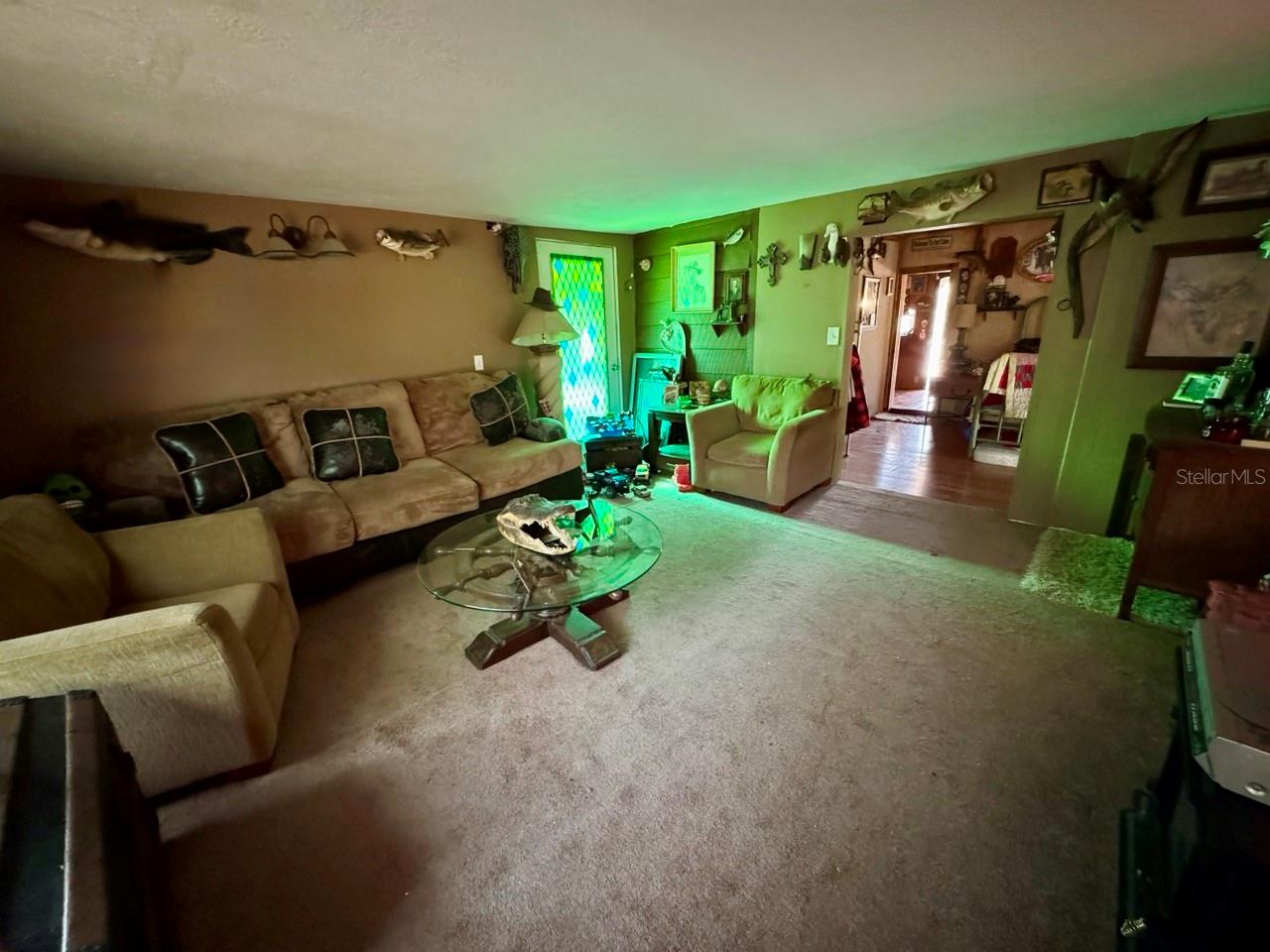 14630 NE 205TH ST, FORT MC COY, FL, 32134