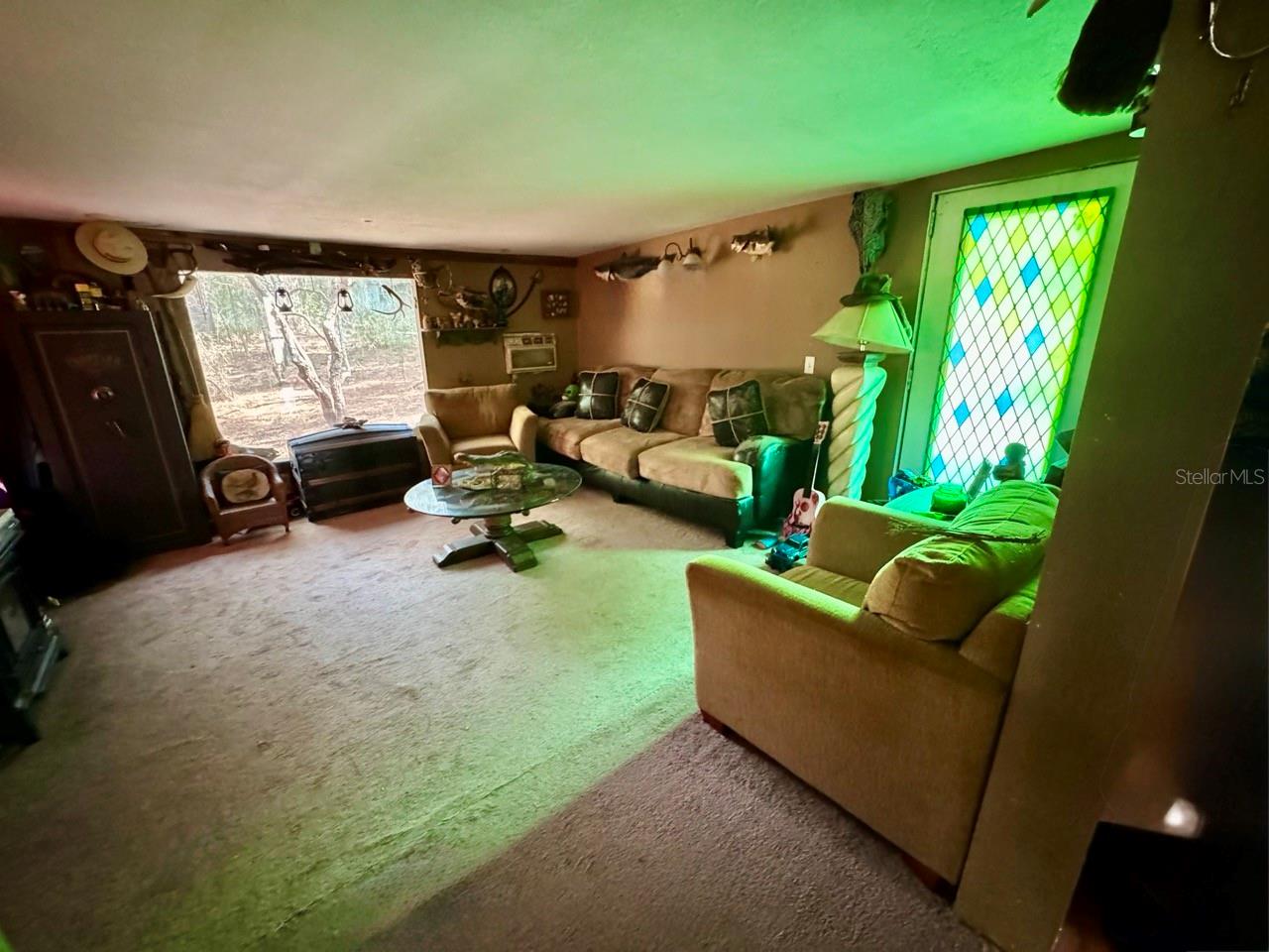 14630 NE 205TH ST, FORT MC COY, FL, 32134