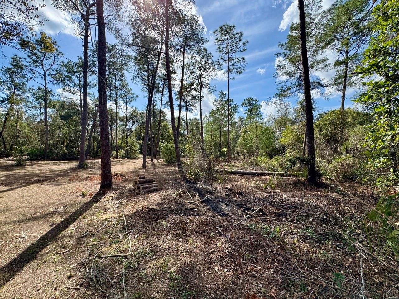 14630 NE 205TH ST, FORT MC COY, FL, 32134