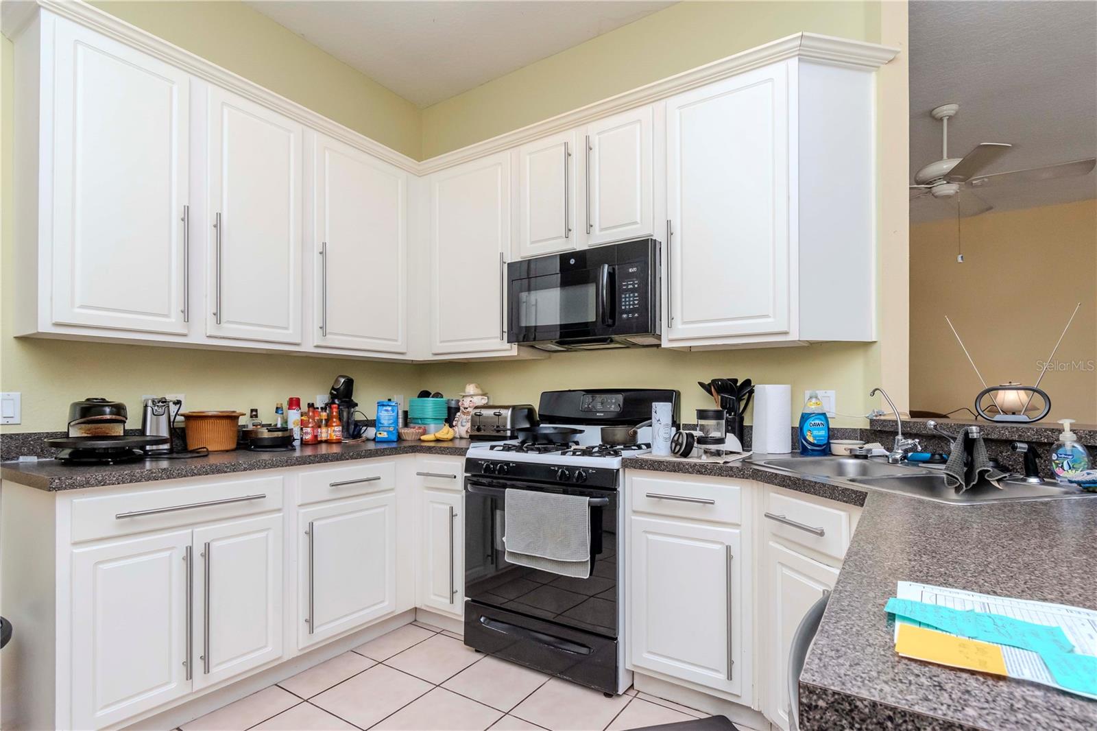 8604 HERONS COVE PL, TAMPA, FL, 33647