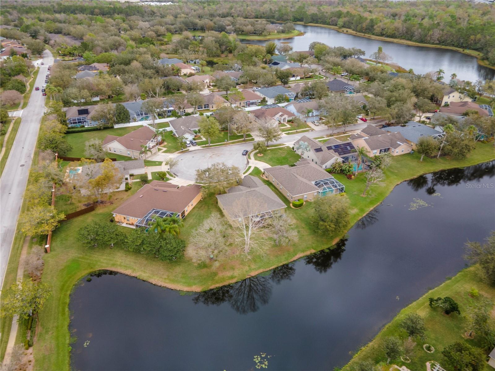 8604 HERONS COVE PL, TAMPA, FL, 33647