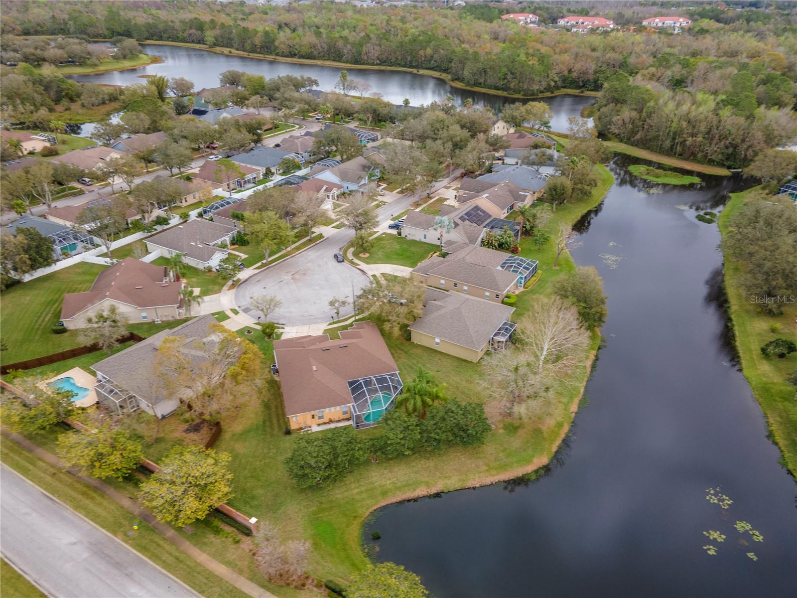 8604 HERONS COVE PL, TAMPA, FL, 33647