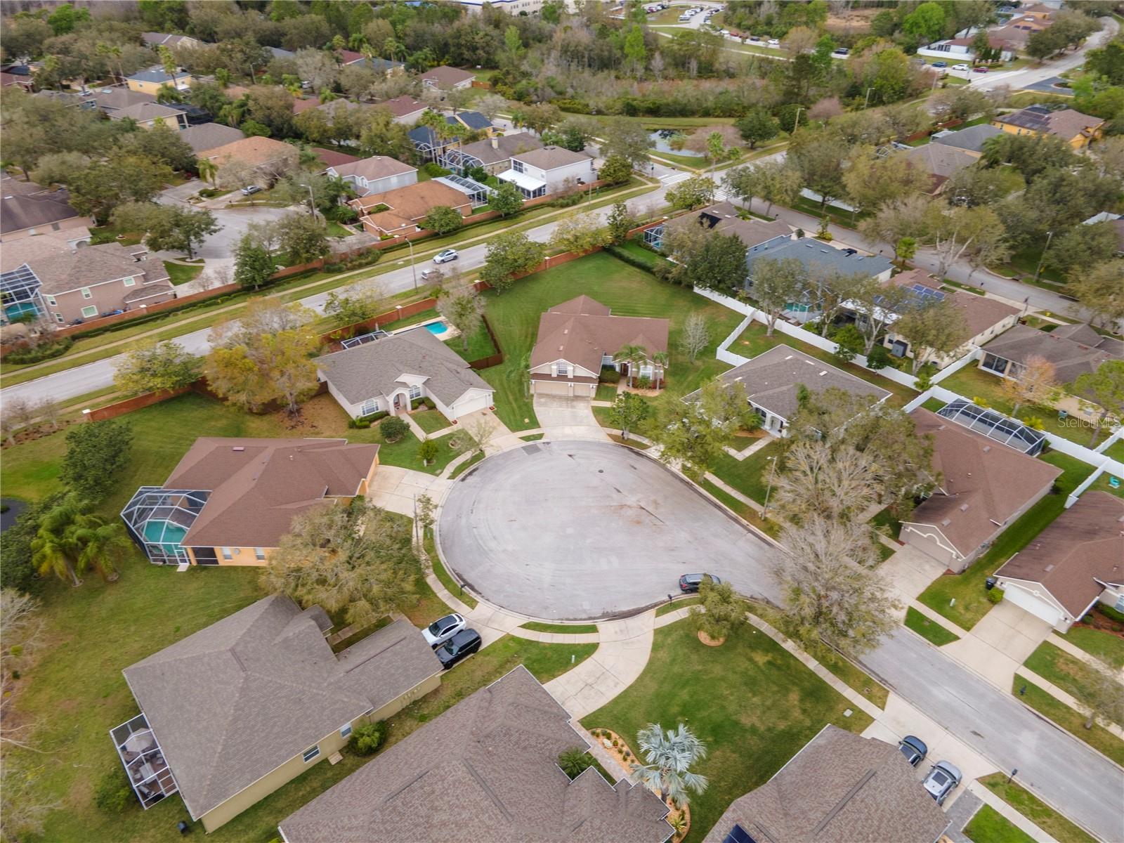 8604 HERONS COVE PL, TAMPA, FL, 33647