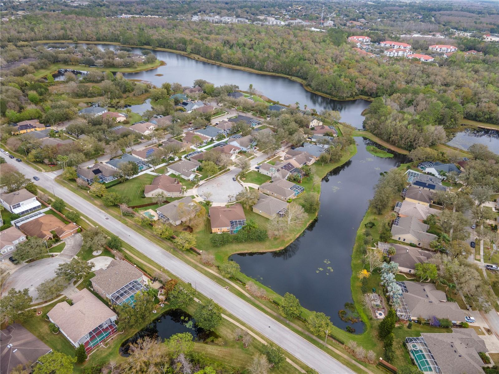 8604 HERONS COVE PL, TAMPA, FL, 33647