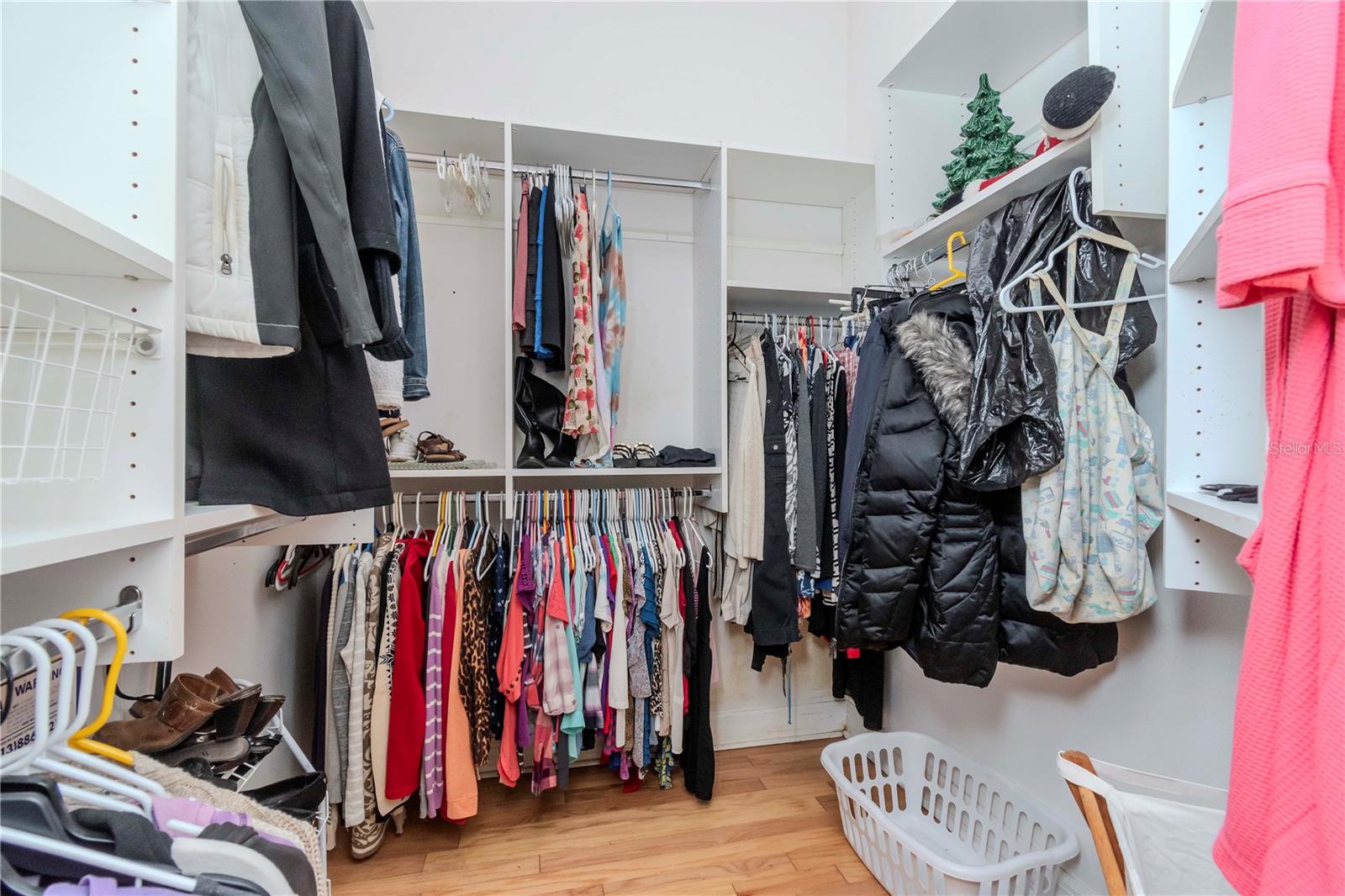 8604 HERONS COVE PL, TAMPA, FL, 33647