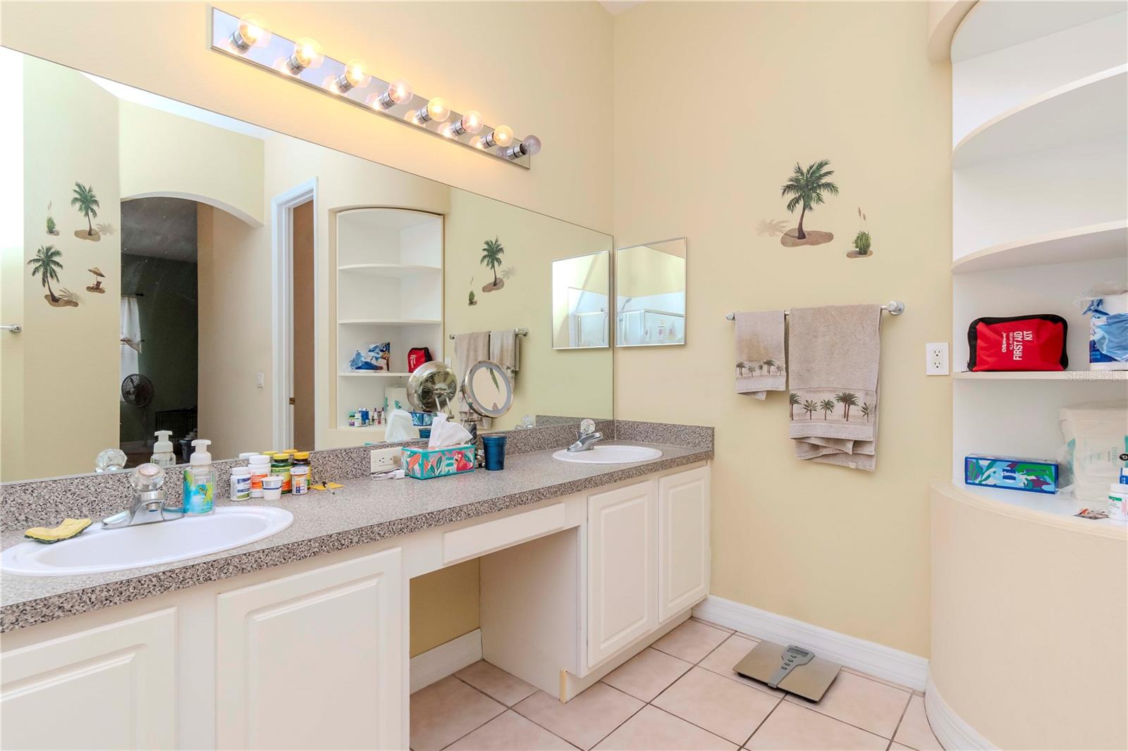 8604 HERONS COVE PL, TAMPA, FL, 33647