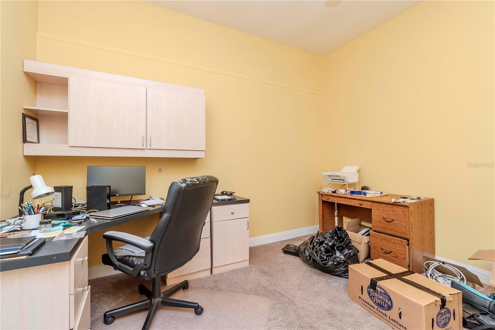 8604 HERONS COVE PL, TAMPA, FL, 33647