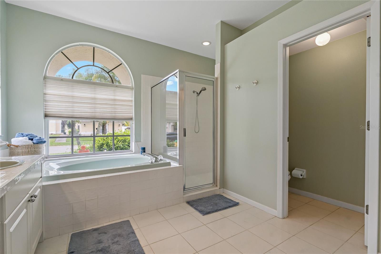 18521 BITTERN AVE, LUTZ, FL, 33558