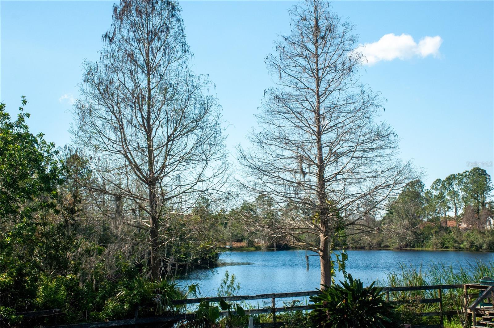 18521 BITTERN AVE, LUTZ, FL, 33558