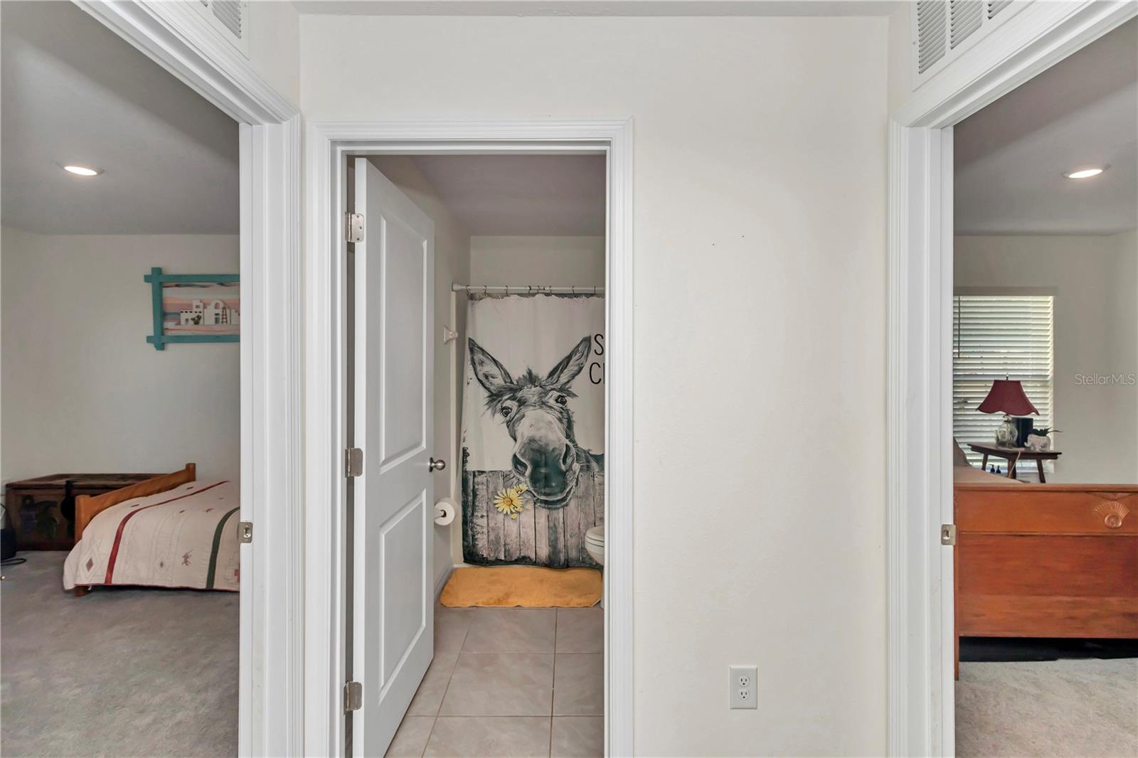 6769 SE 3RD LOOP, OCALA, FL, 34472