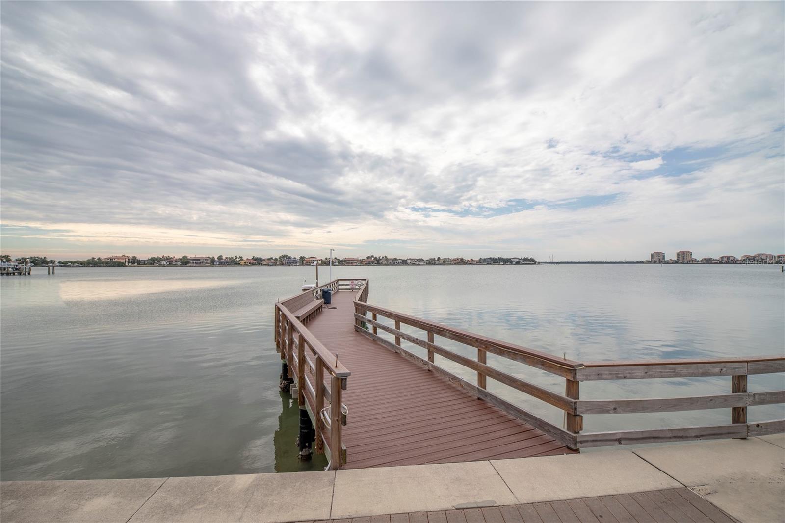 5200 BRITTANY DR S #1710, ST PETERSBURG, FL, 33715
