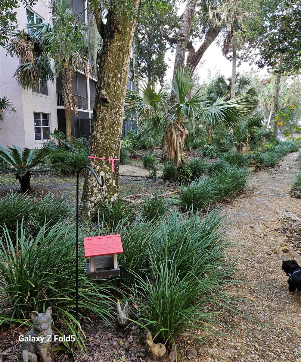 640 N NOVA RD #107, ORMOND BEACH, FL, 32174