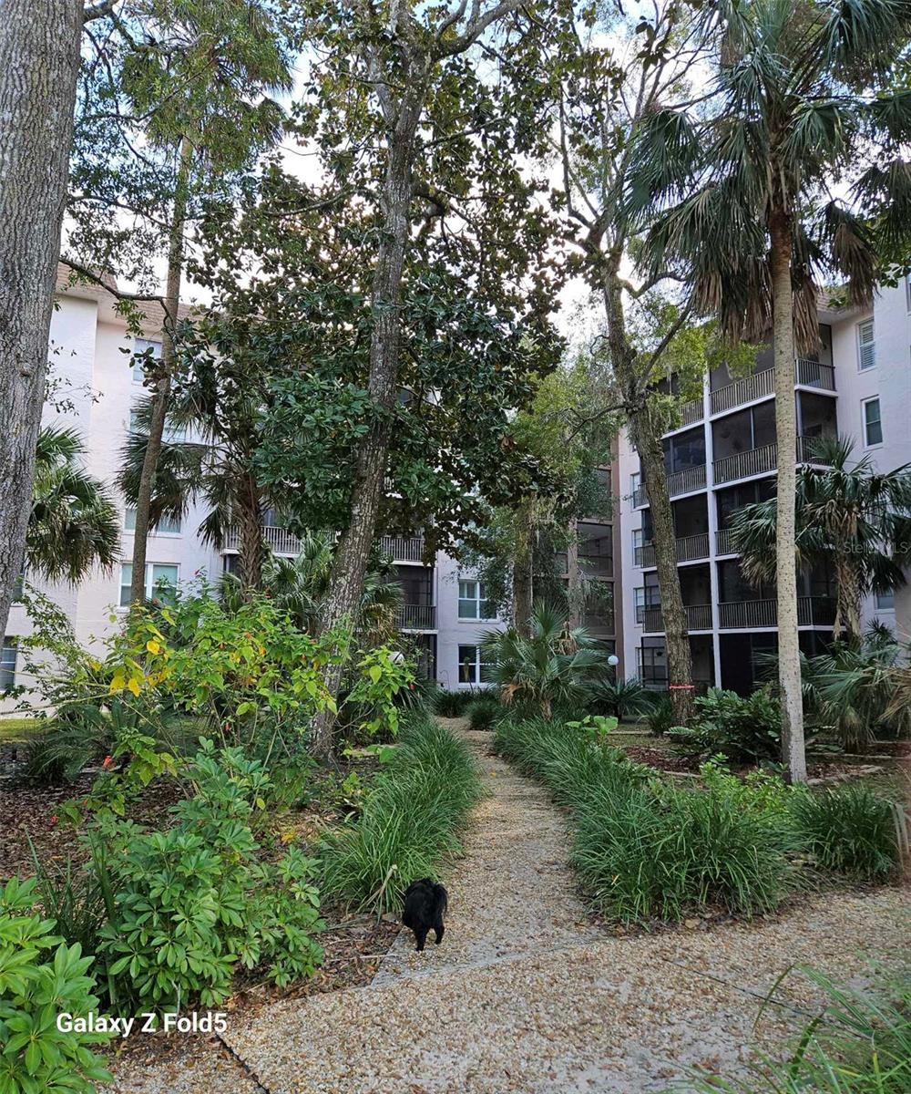 640 N NOVA RD #107, ORMOND BEACH, FL, 32174