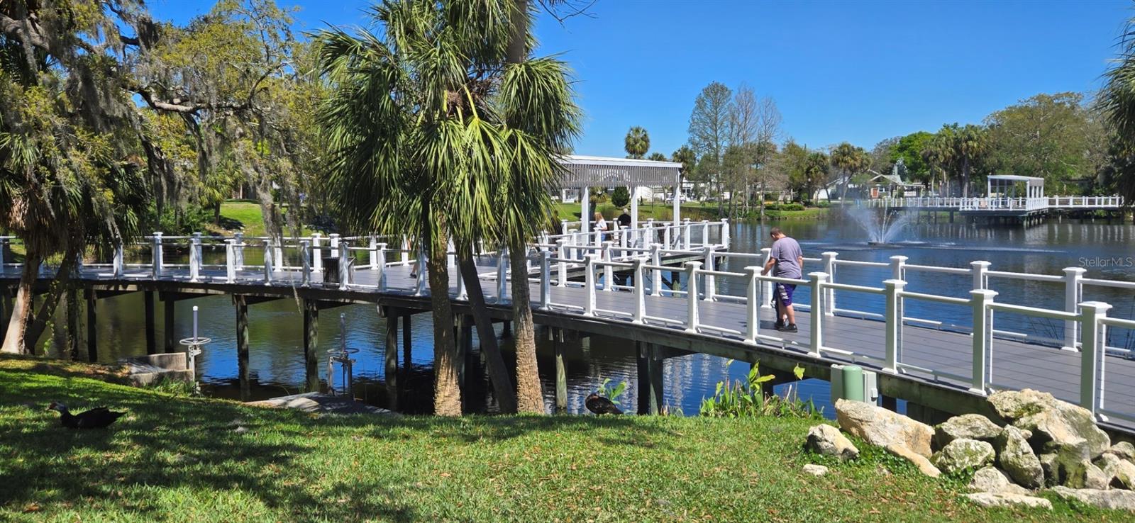 5748 MASSACHUSETTS AVE, NEW PORT RICHEY, FL, 34652