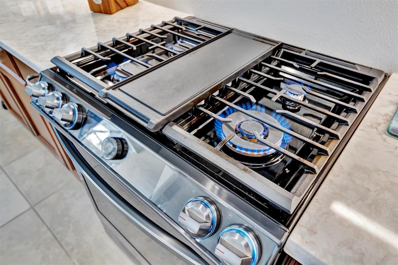 12809 RAINWASHED LOOP, PARRISH, FL, 34219